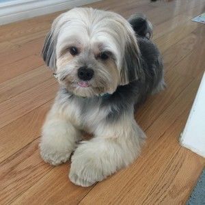 Meet your Posher, Kristen